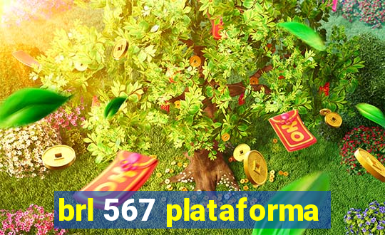 brl 567 plataforma